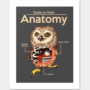 Anatomy of Owls Posters and Art